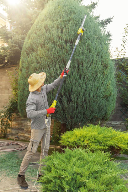 Best Emergency Tree Removal  in Cadiz, KY